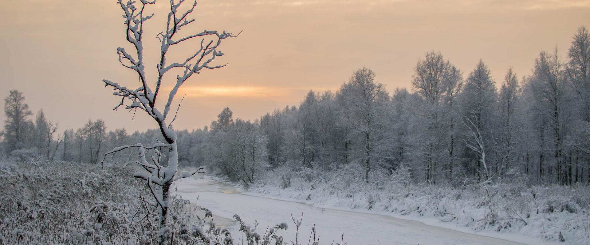 Talvine puhkus Lääne-Virumaal